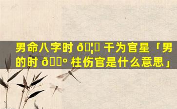 男命八字时 🦅 干为官星「男的时 🌺 柱伤官是什么意思」